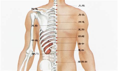 背上痣|背部有痣图解大全 背部有痣的人看命运